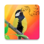 bird sounds, calls & ringtones android application logo